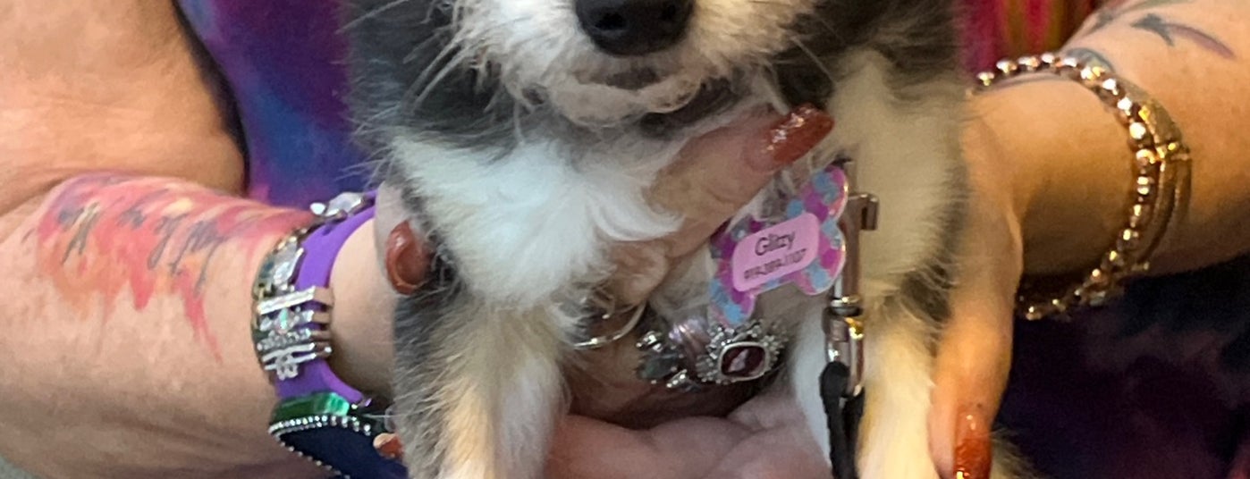 The 15 Best Places for Couches in Phoenix