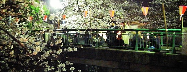 そうだ ドラマ 最高の離婚 ロケ地へ行こう そうだ ドラマ 最高の離婚 ロケ地へ行こう