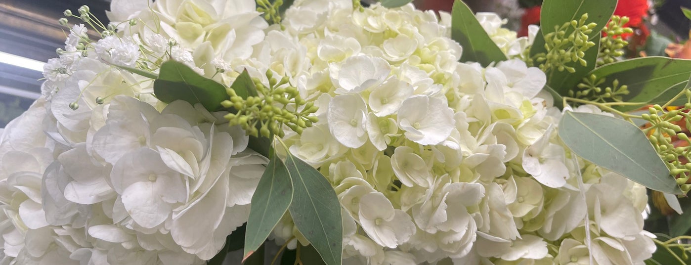 The 15 Best Places for Couches in Phoenix