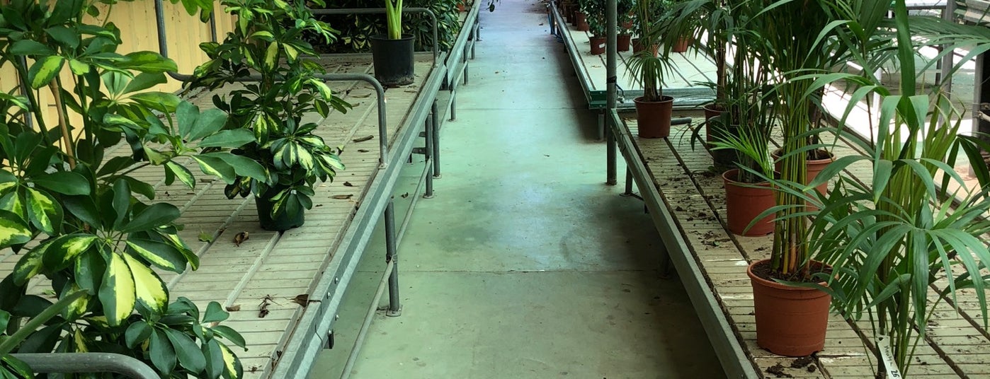 Viveros en Málaga y provincia