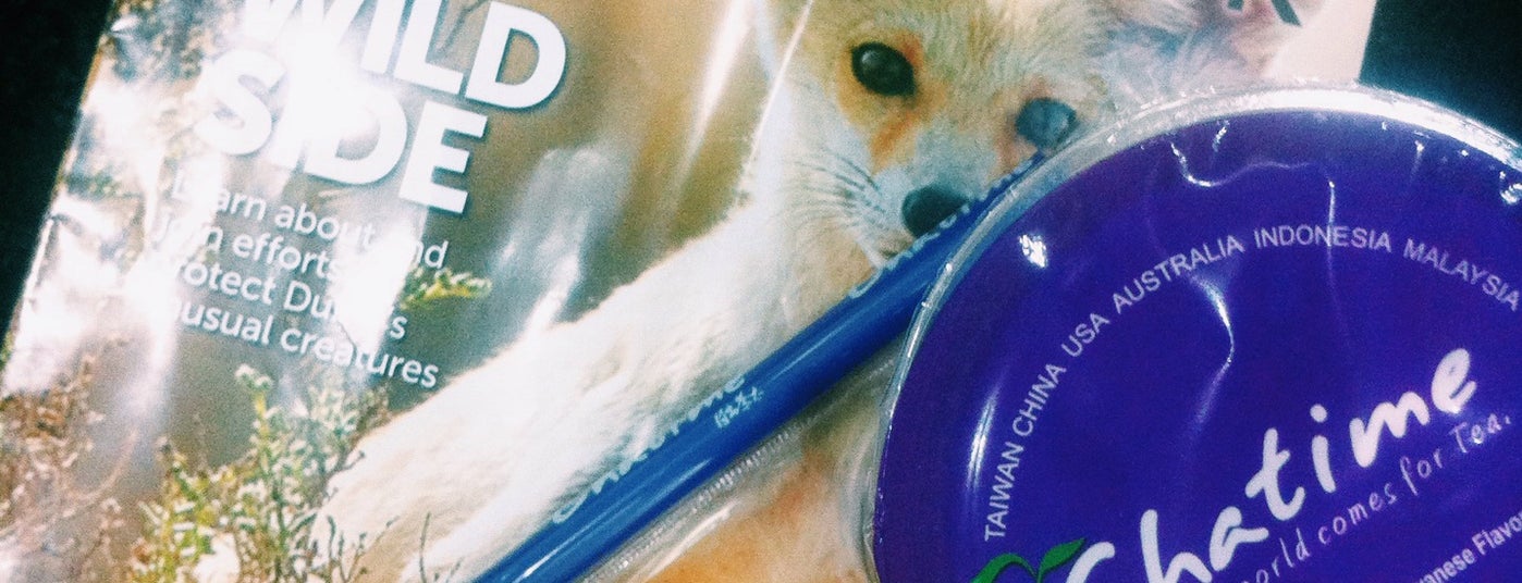 The 11 Best Places for Milk Tea in Dubai