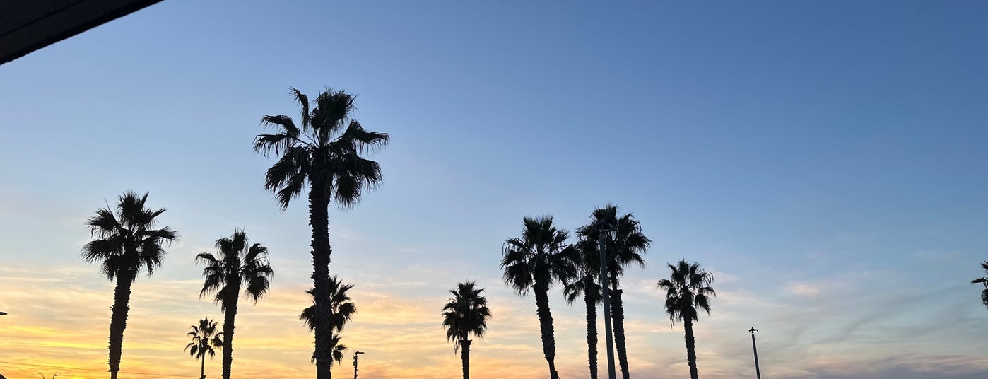 The 15 Best Places for Oysters in San Diego