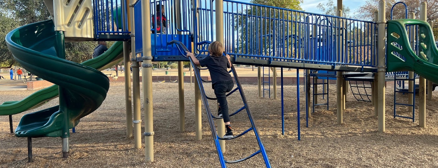 The 15 Best Places for Picnics in Phoenix