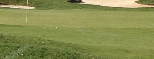 Lorain County Golf Courses!