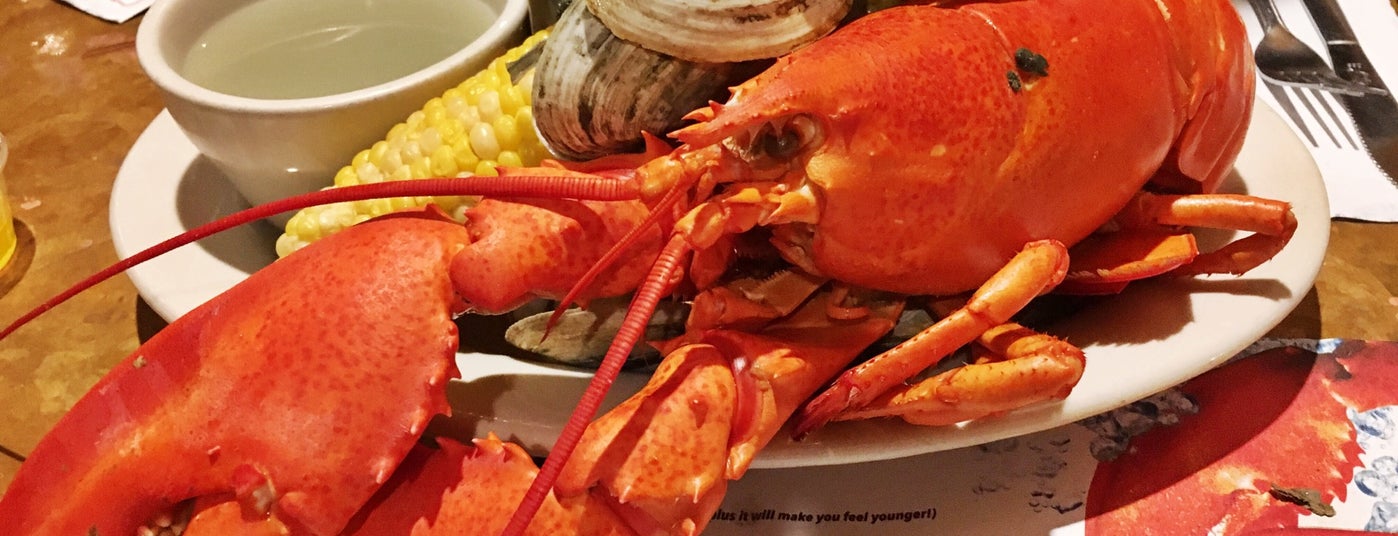 The 15 Best Places for Haddock in Portland