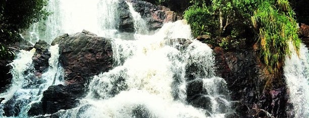 Faça um passeio pelas nascentes e cachoeiras de Brasília e seus arredores -  05/06/2013 - UOL Nossa