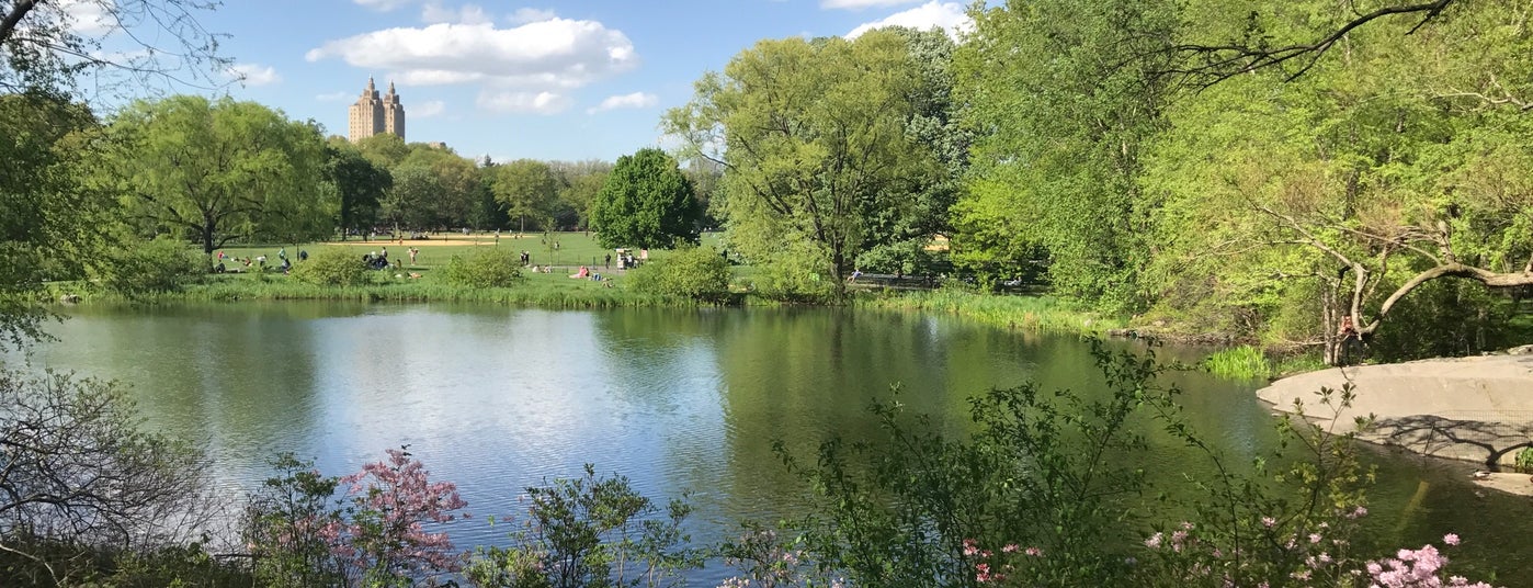 The 15 Best Quiet Places in New York City