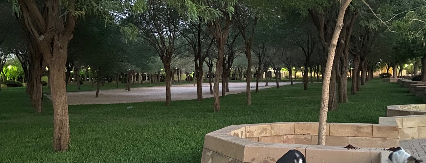 Alyamamah Park حديقة اليمامة السفارات 18 Tips From 2093 Visitors