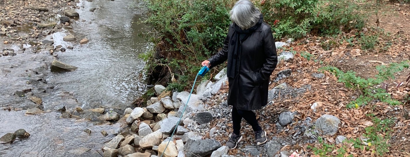 The 15 Best Places for Picnics in Atlanta