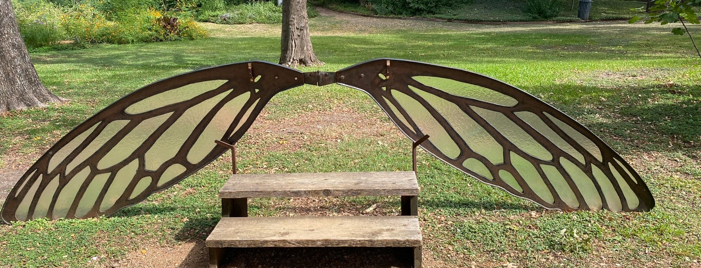 The 15 Best Places for Picnics in Dallas