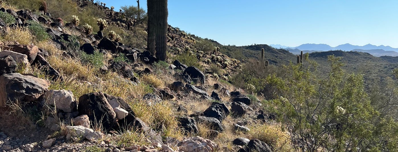The 15 Best Places for Hidden Spots in Phoenix