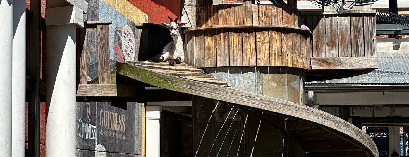 The 15 Best Places for Oysters in Memphis