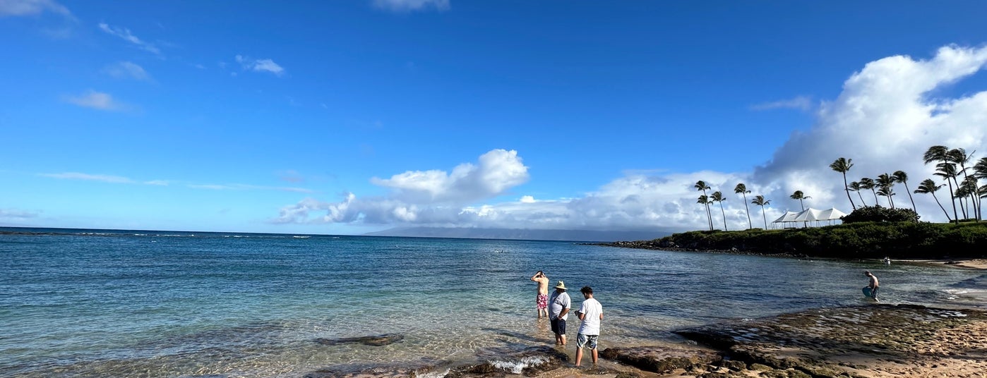 Kapalua Bay Beach - 42 tips