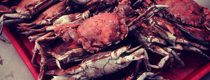 The 15 Best Places for Crab in Ocean City