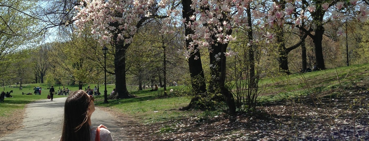 The 15 Best Places for Picnics in Brooklyn