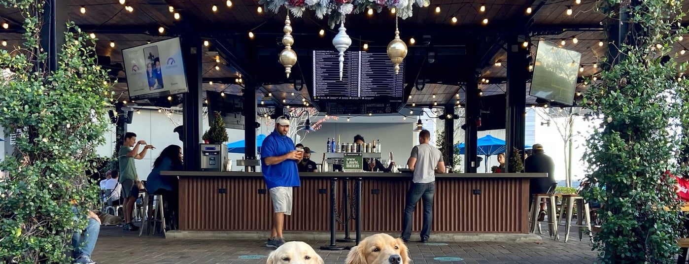 The 15 Best Beer Gardens in Tampa