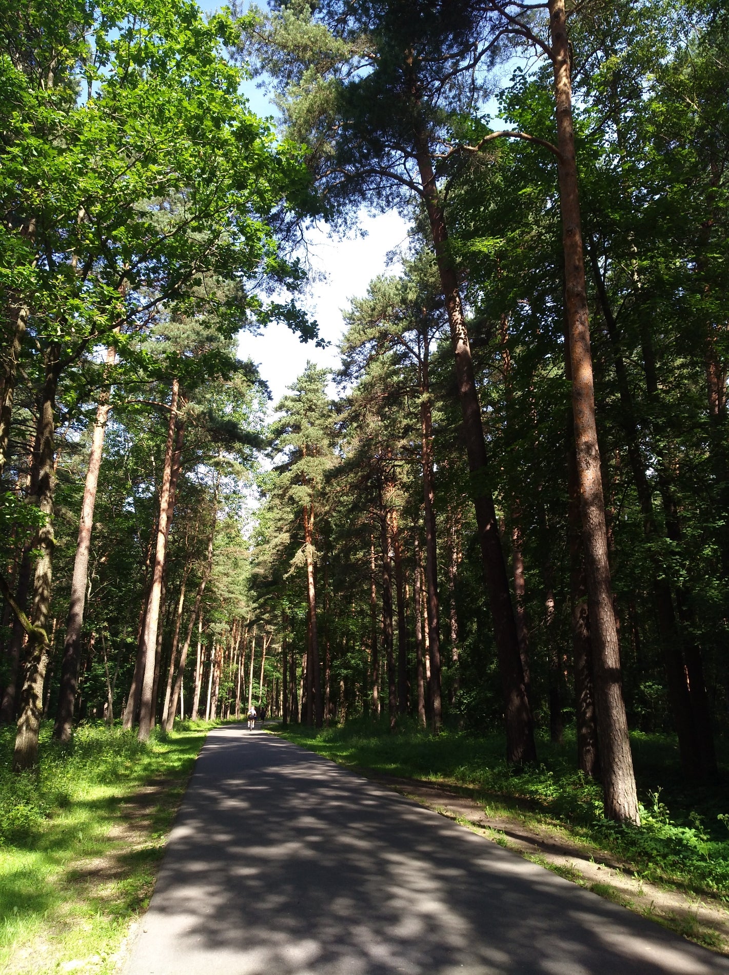 trail