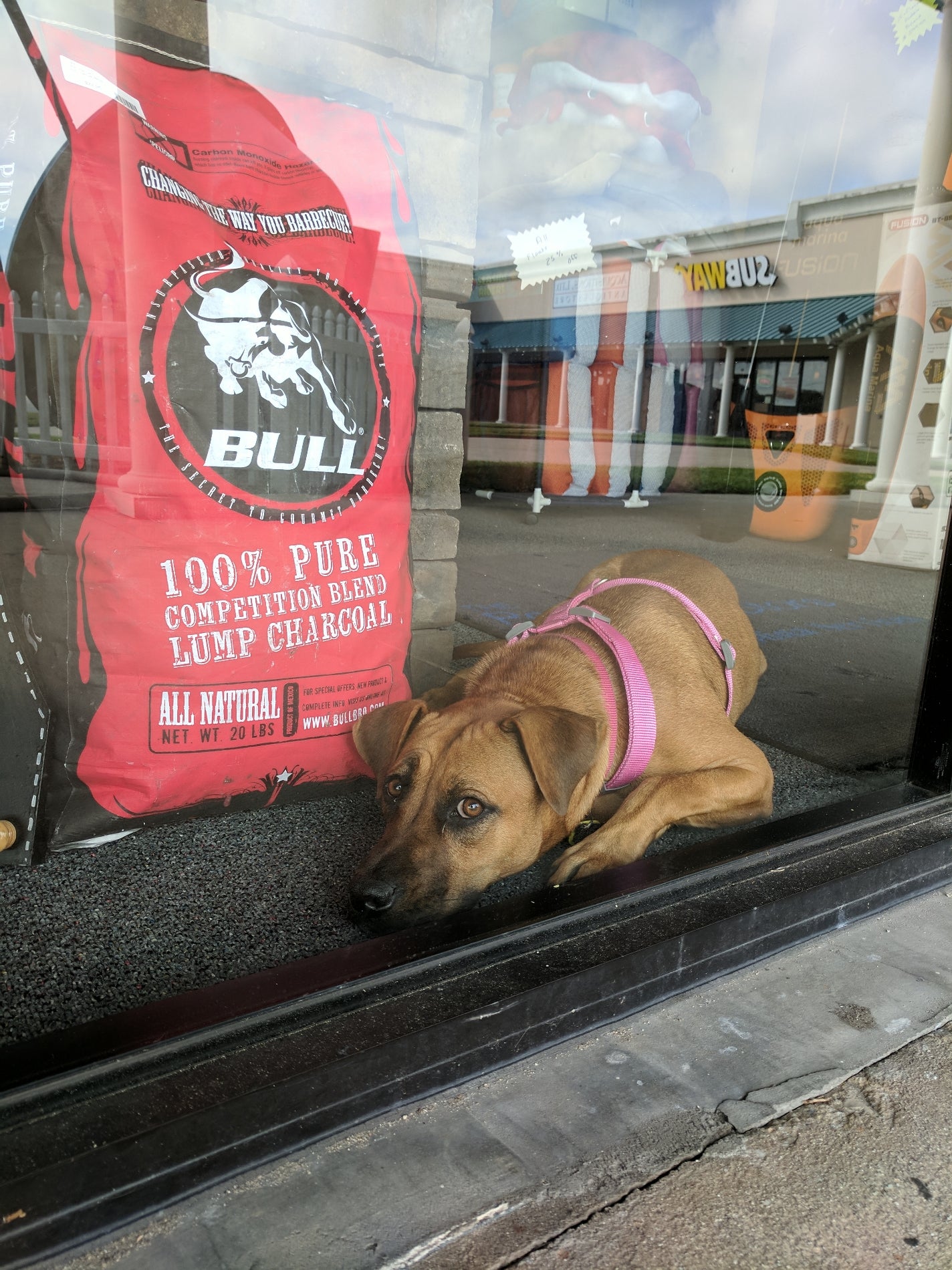 blend jacksonville nc on Doubletree By Hilton Oceanfront Hotel In Atlantic Beach Nc Maps