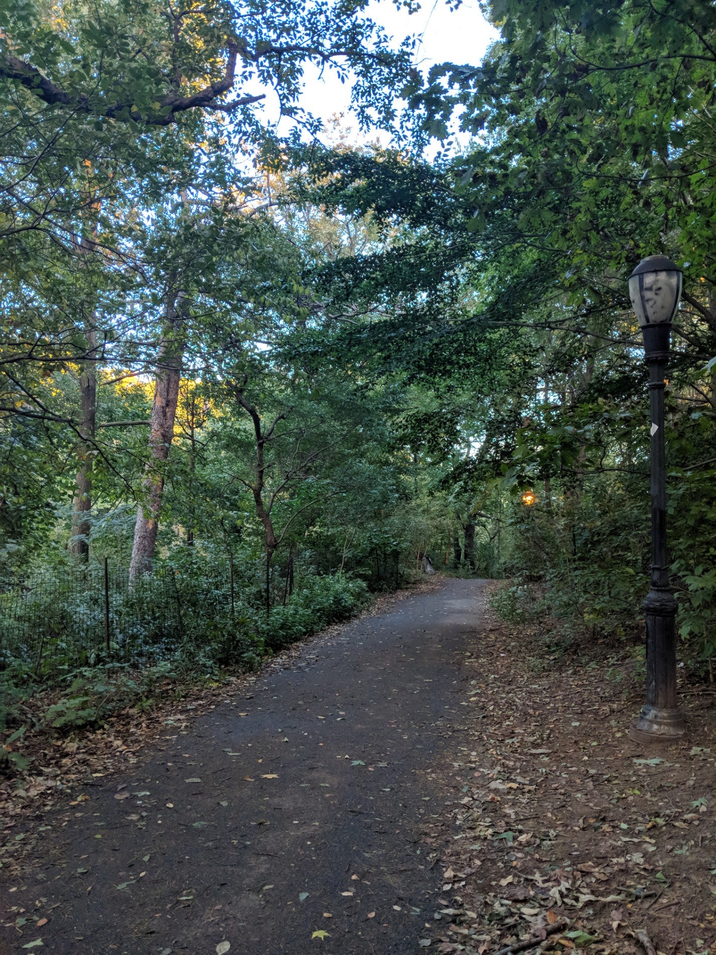 photo of Prospect Park Hills