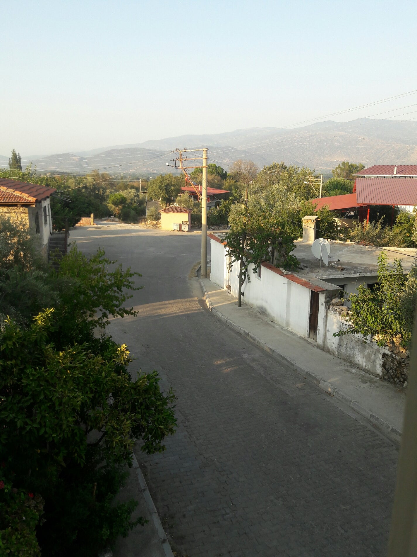 park