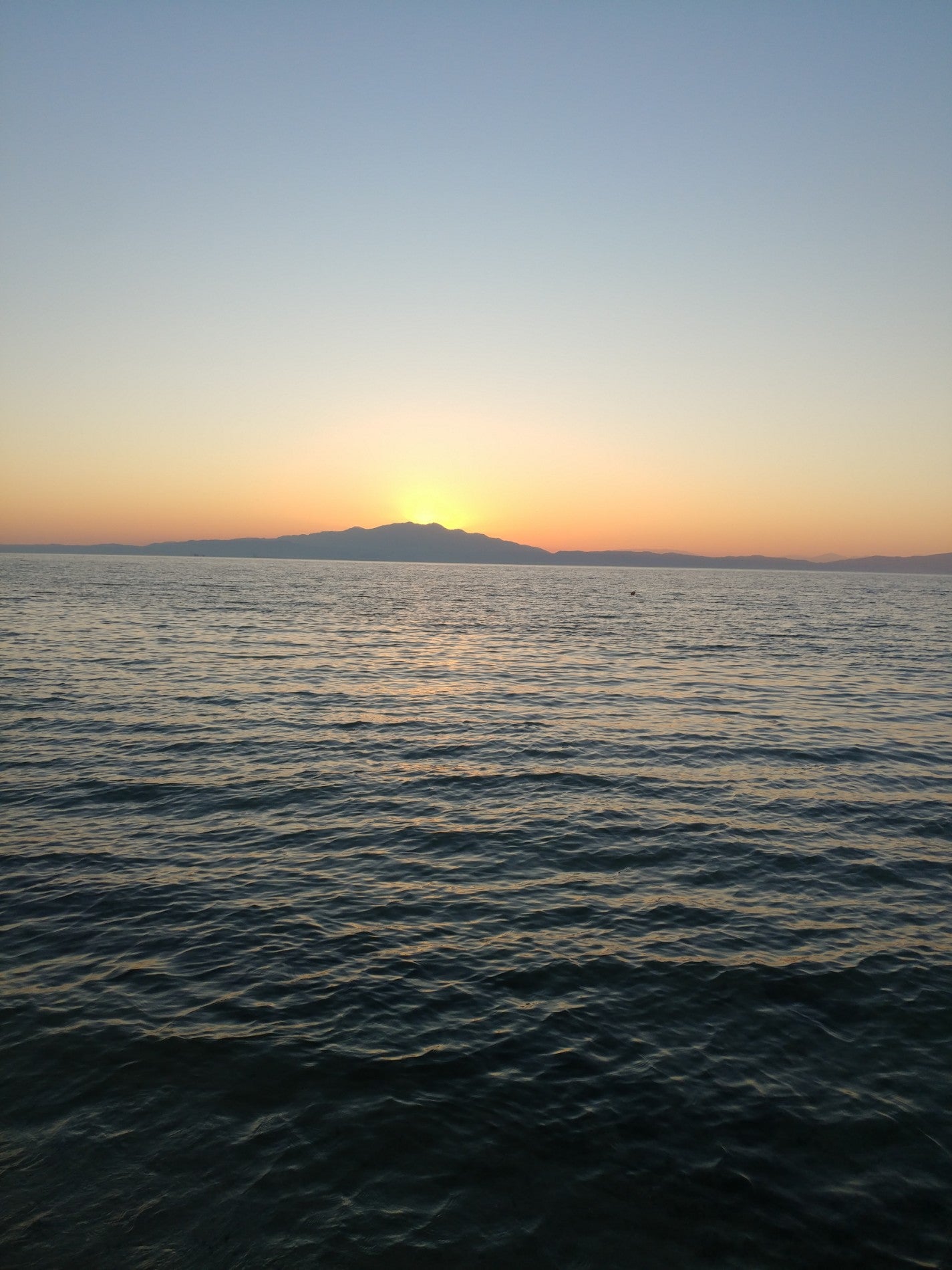 taverna
