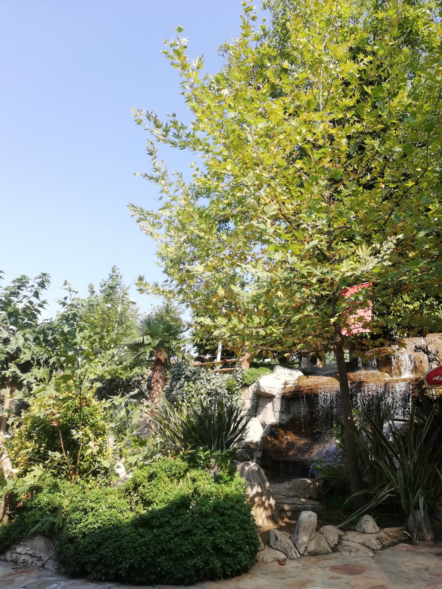 garden