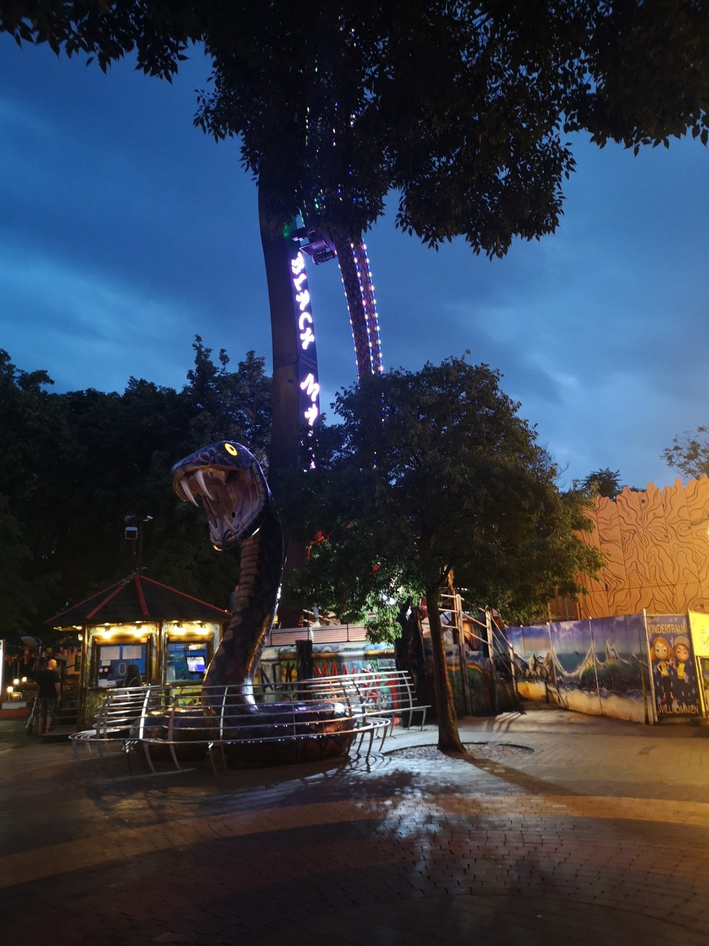 theme-park-ride-attraction