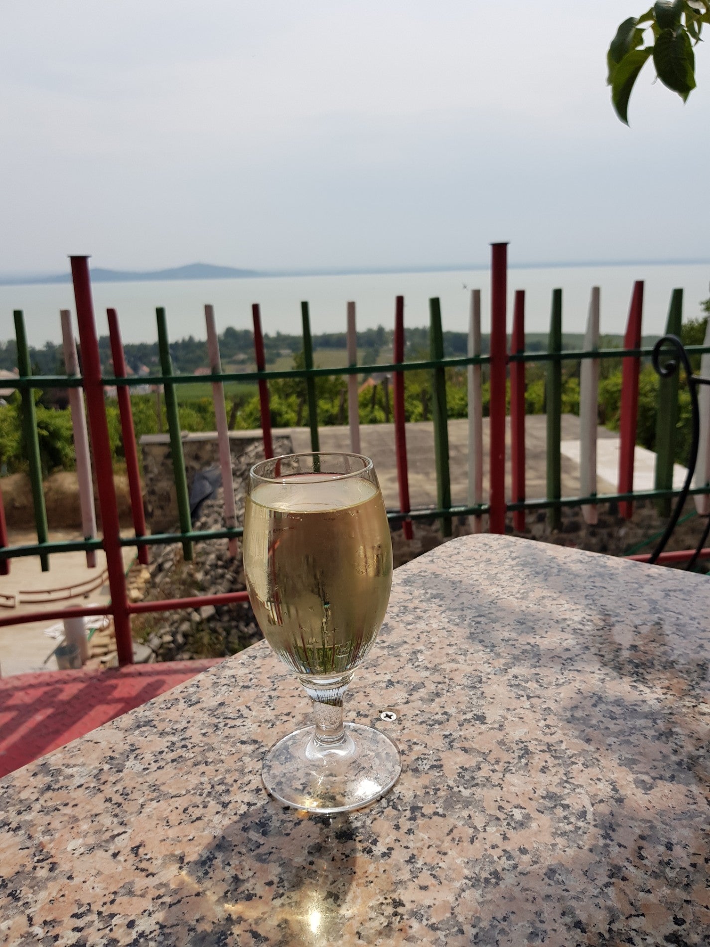 wine-bar
