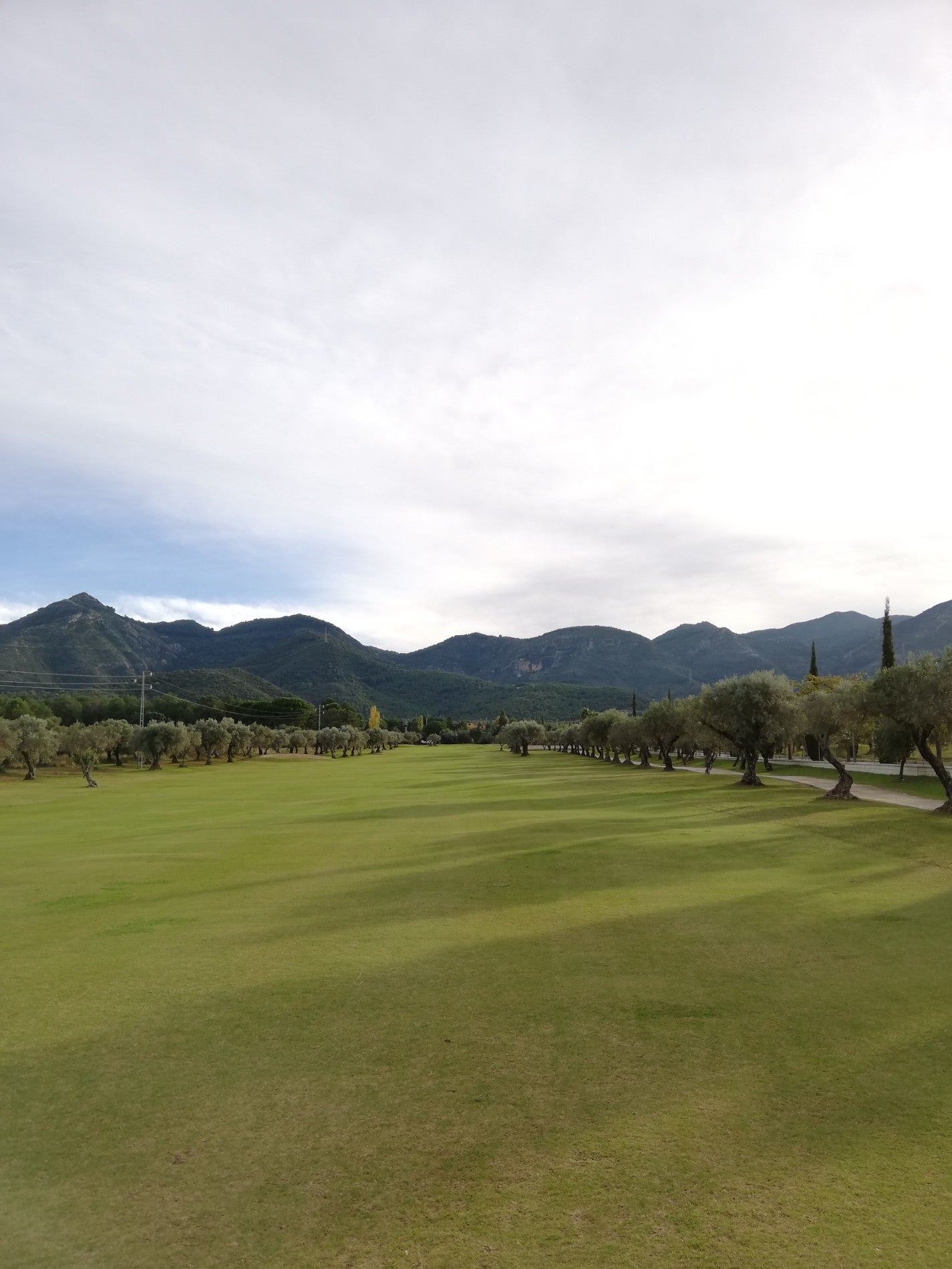 golf-course
