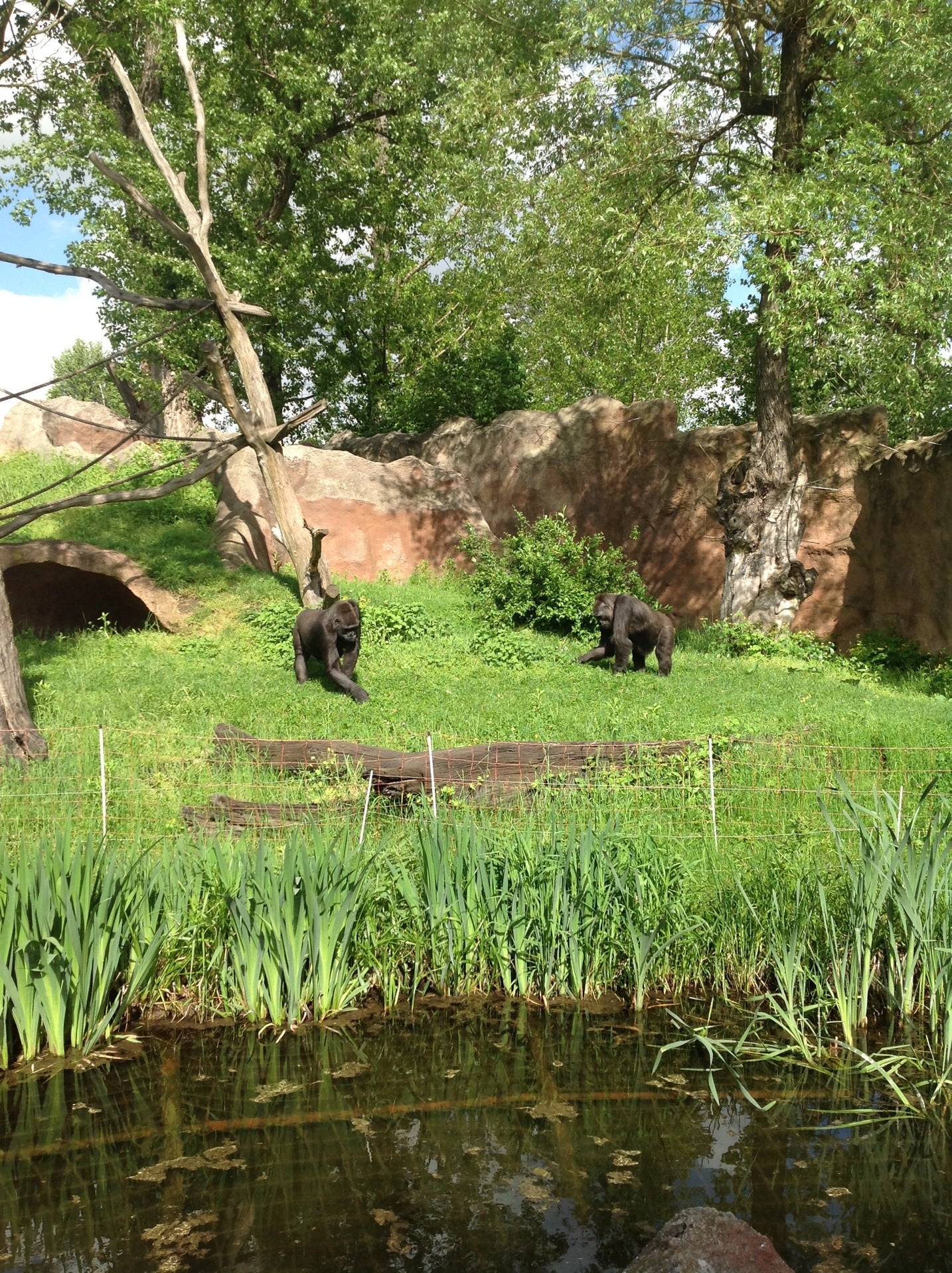 zoo-exhibit