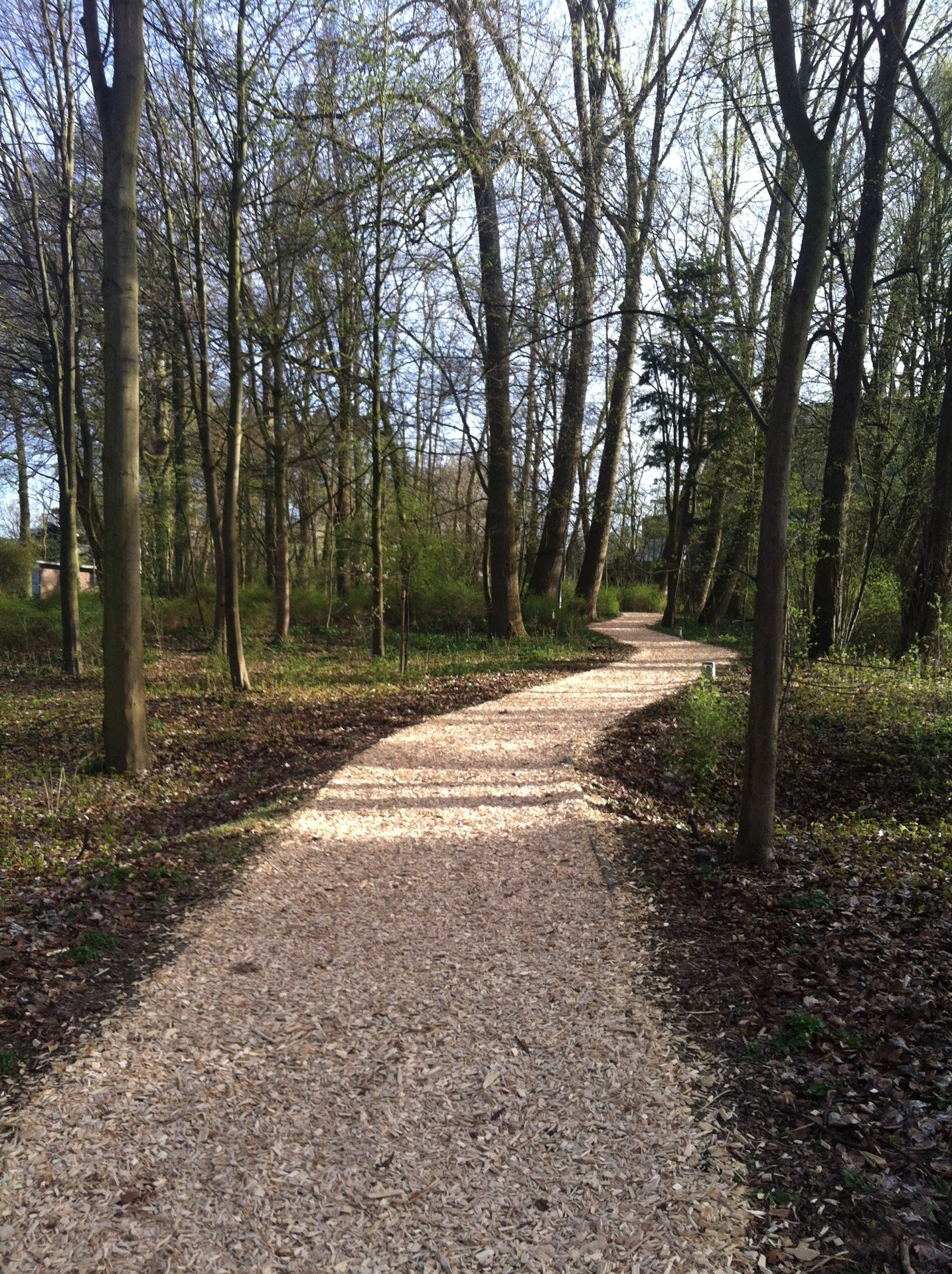 trail