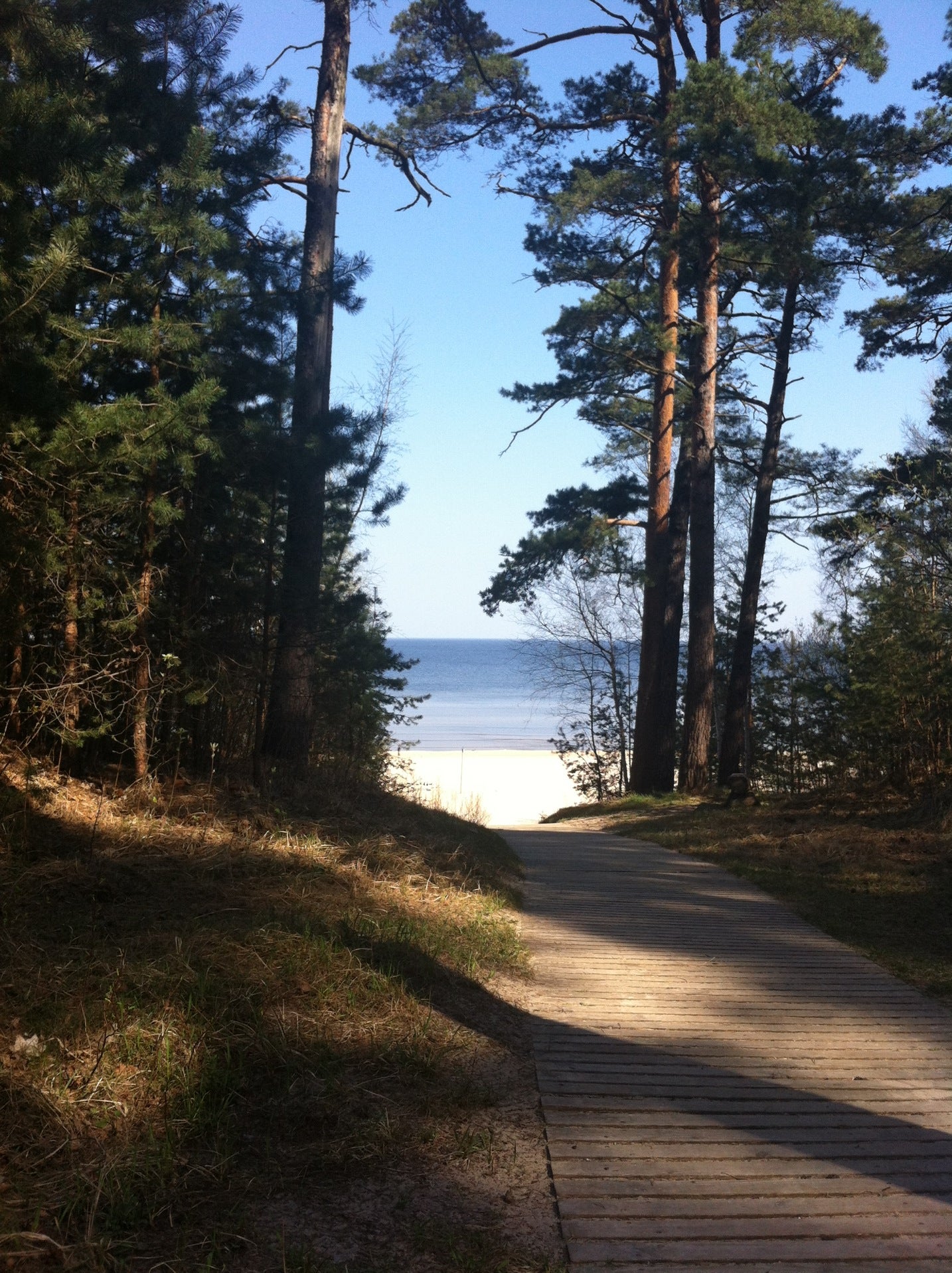 beach