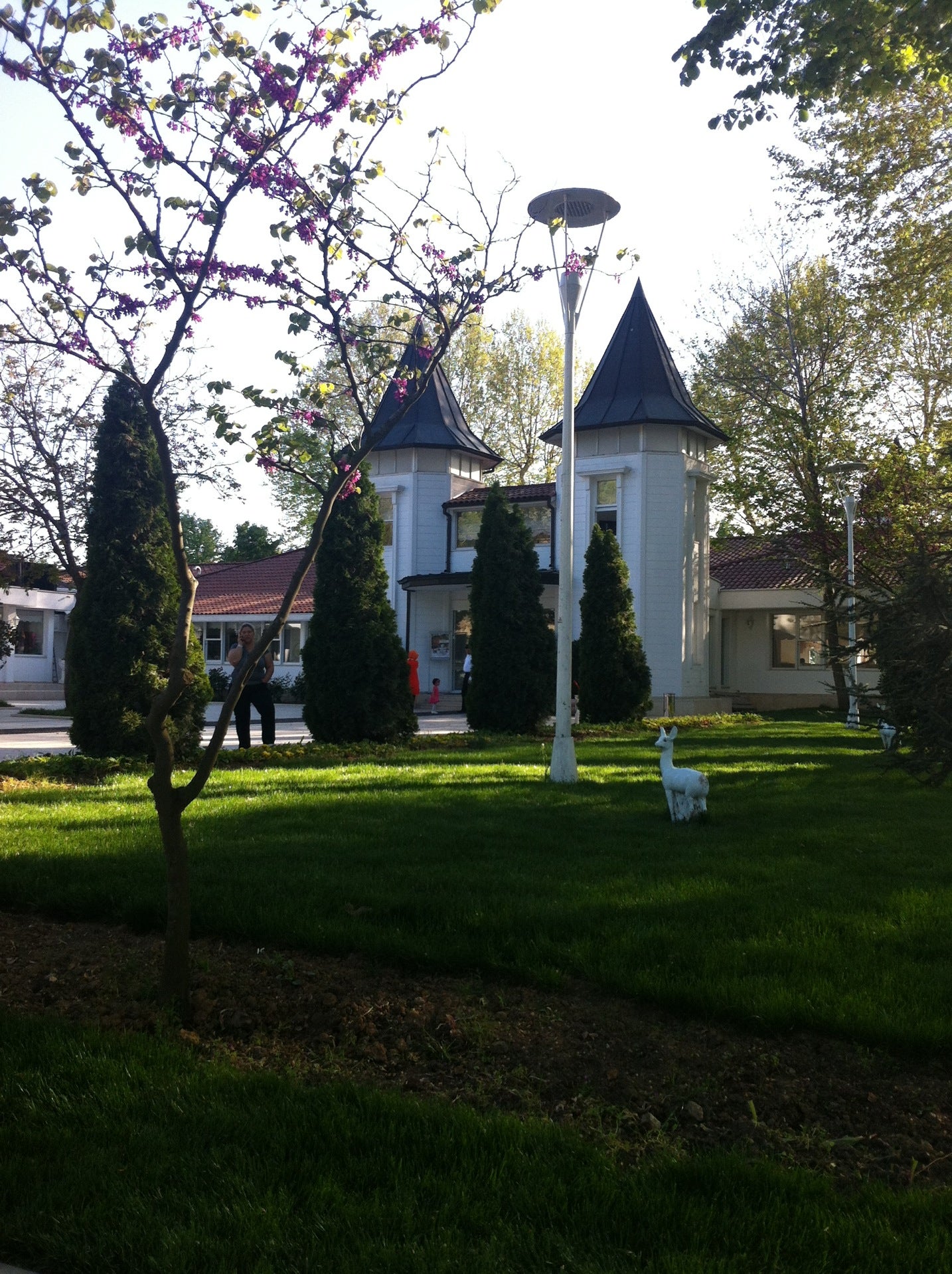 garden