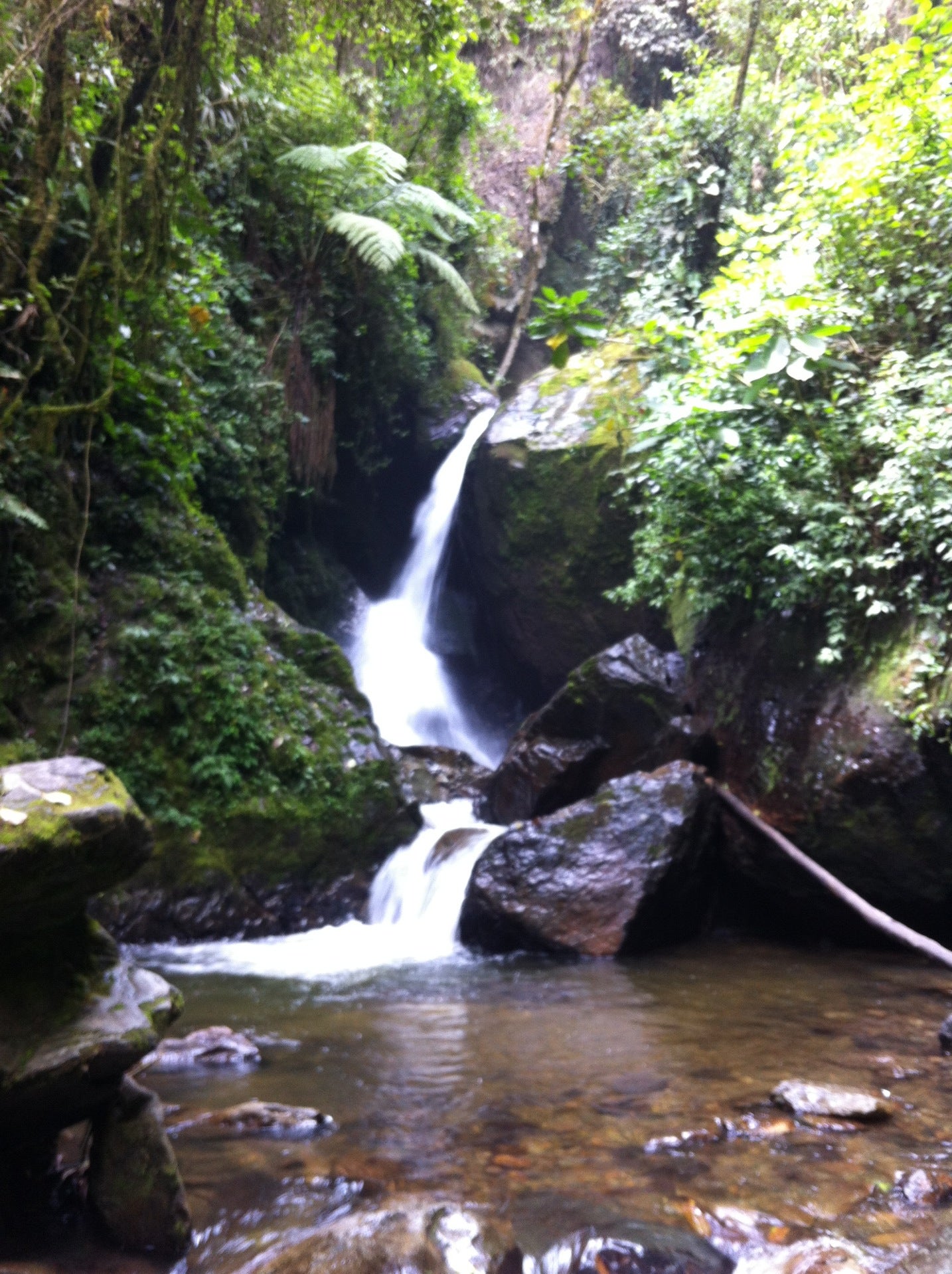 national-park