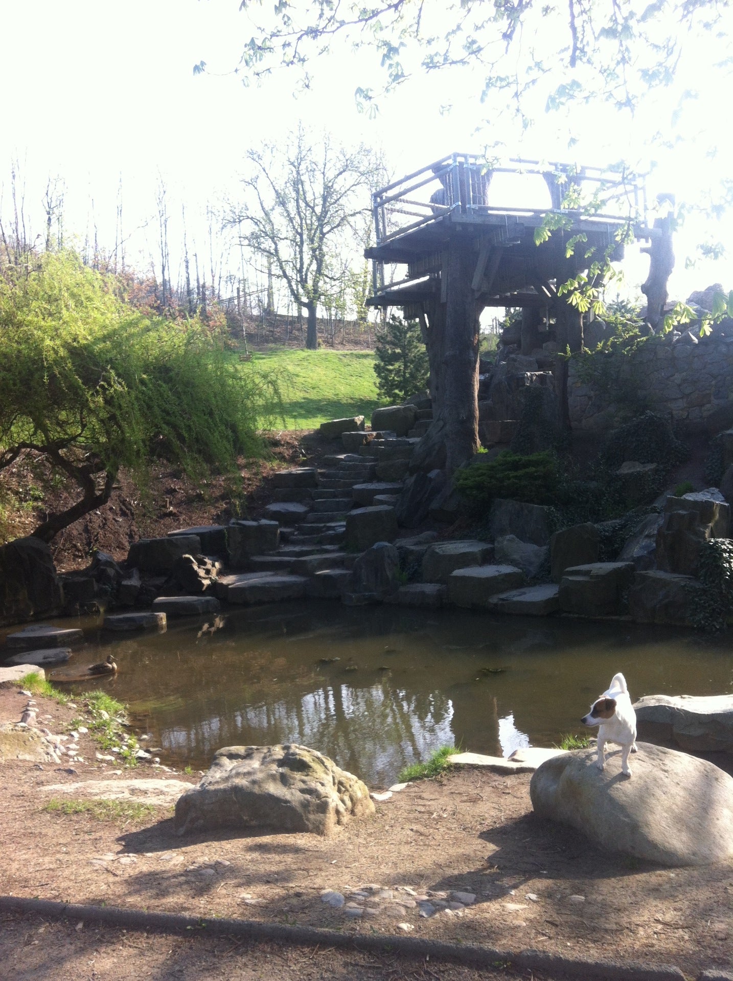 park