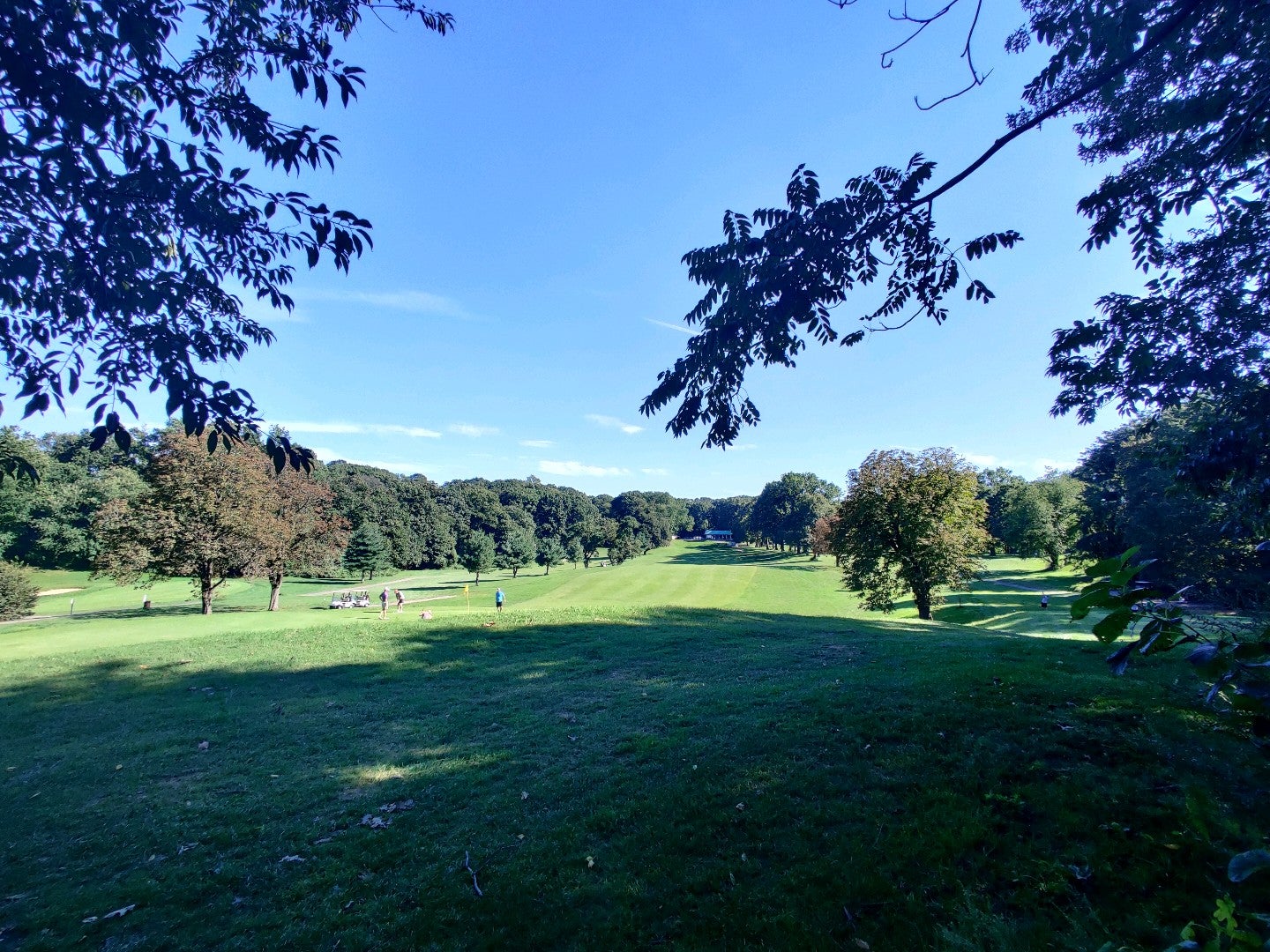 golf-course