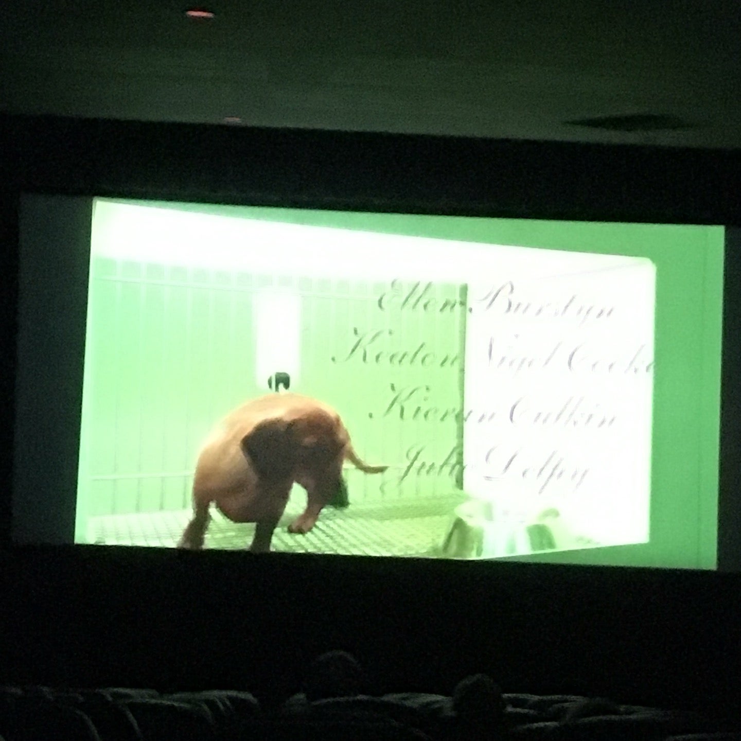 movie-theater