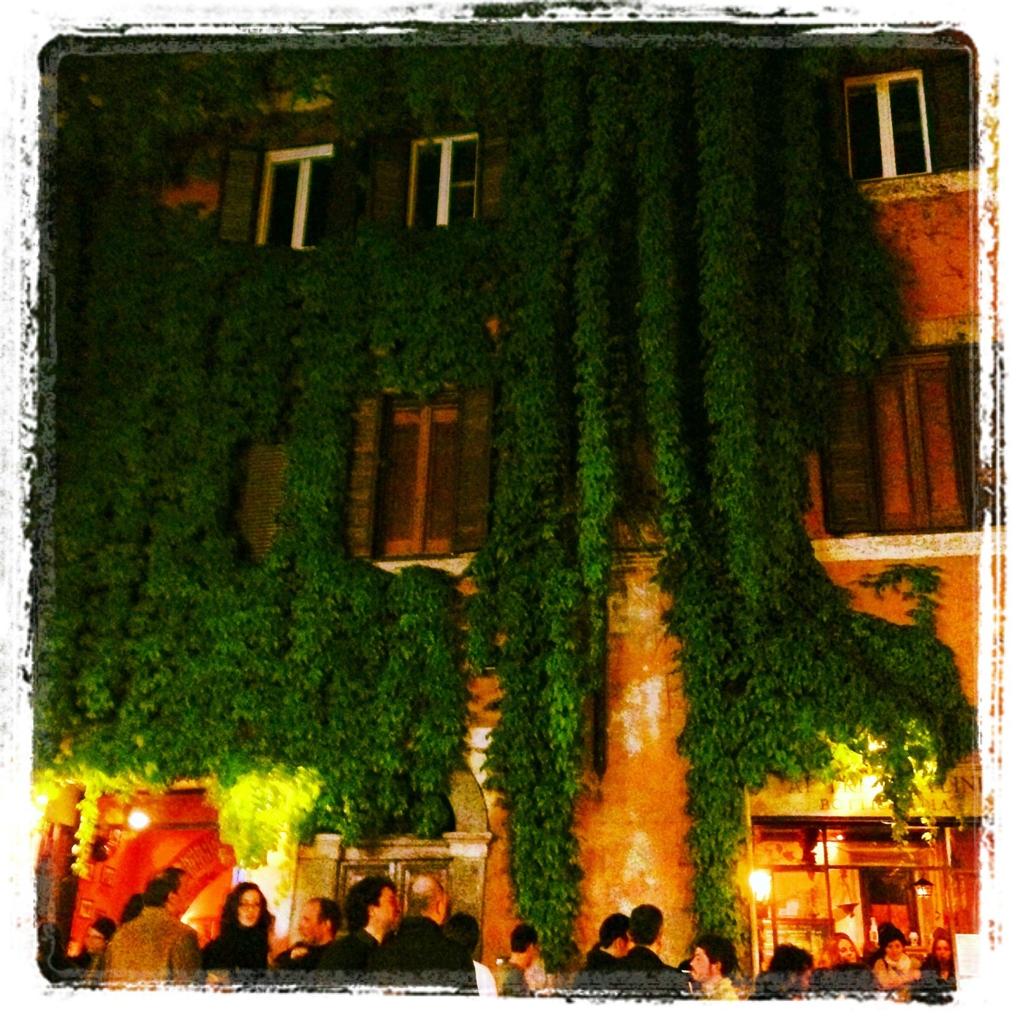 wine-bar