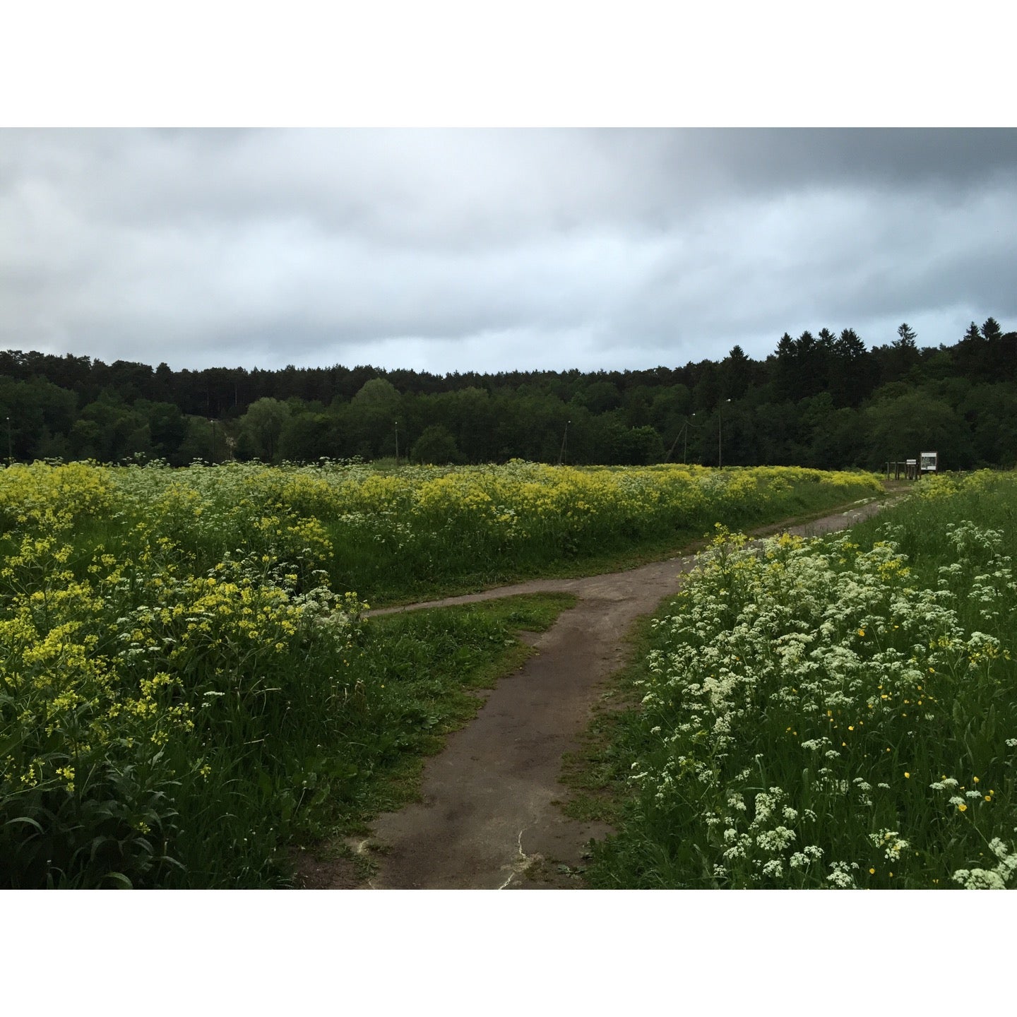 trail