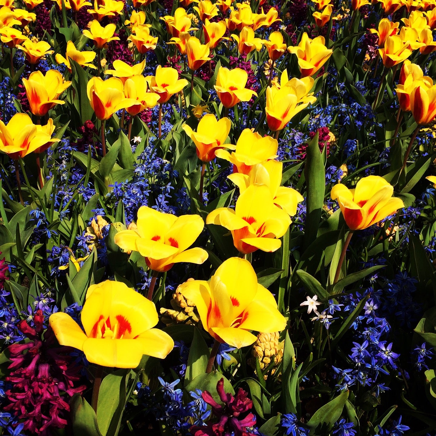 garden-center