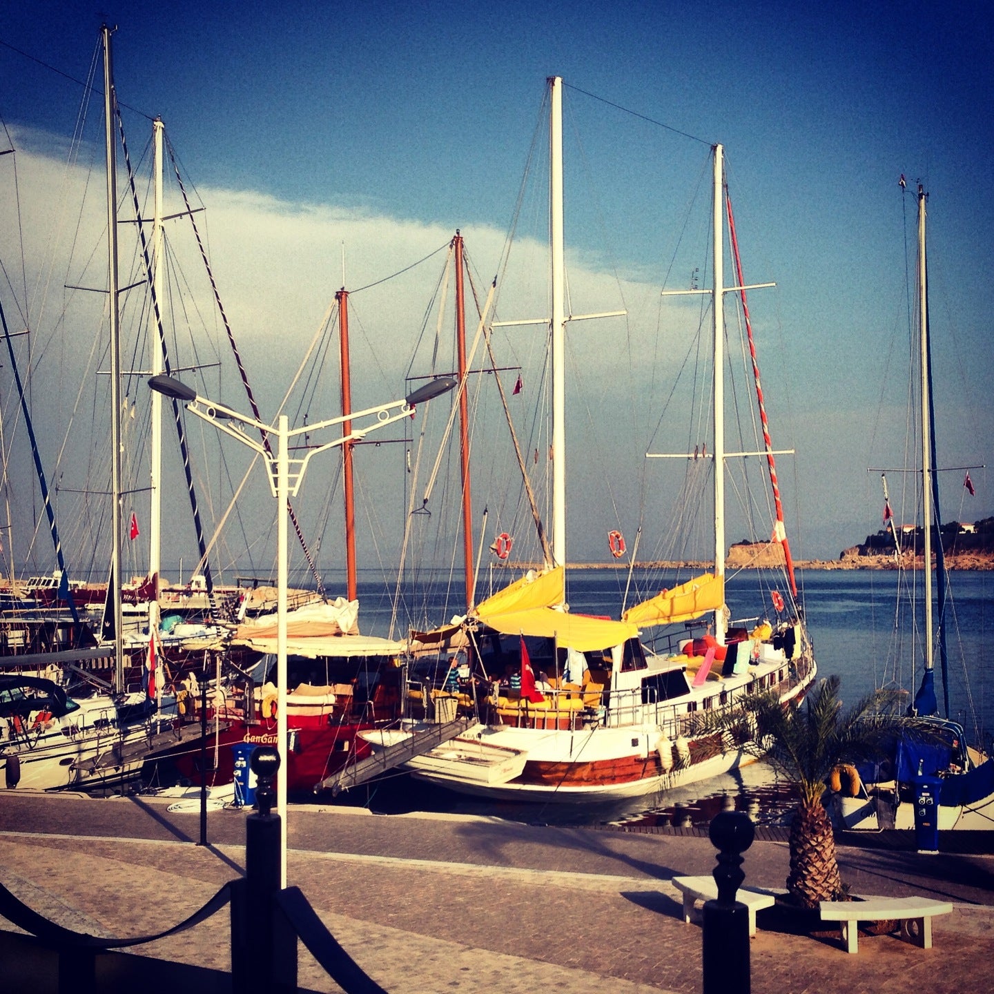 harbor-marina
