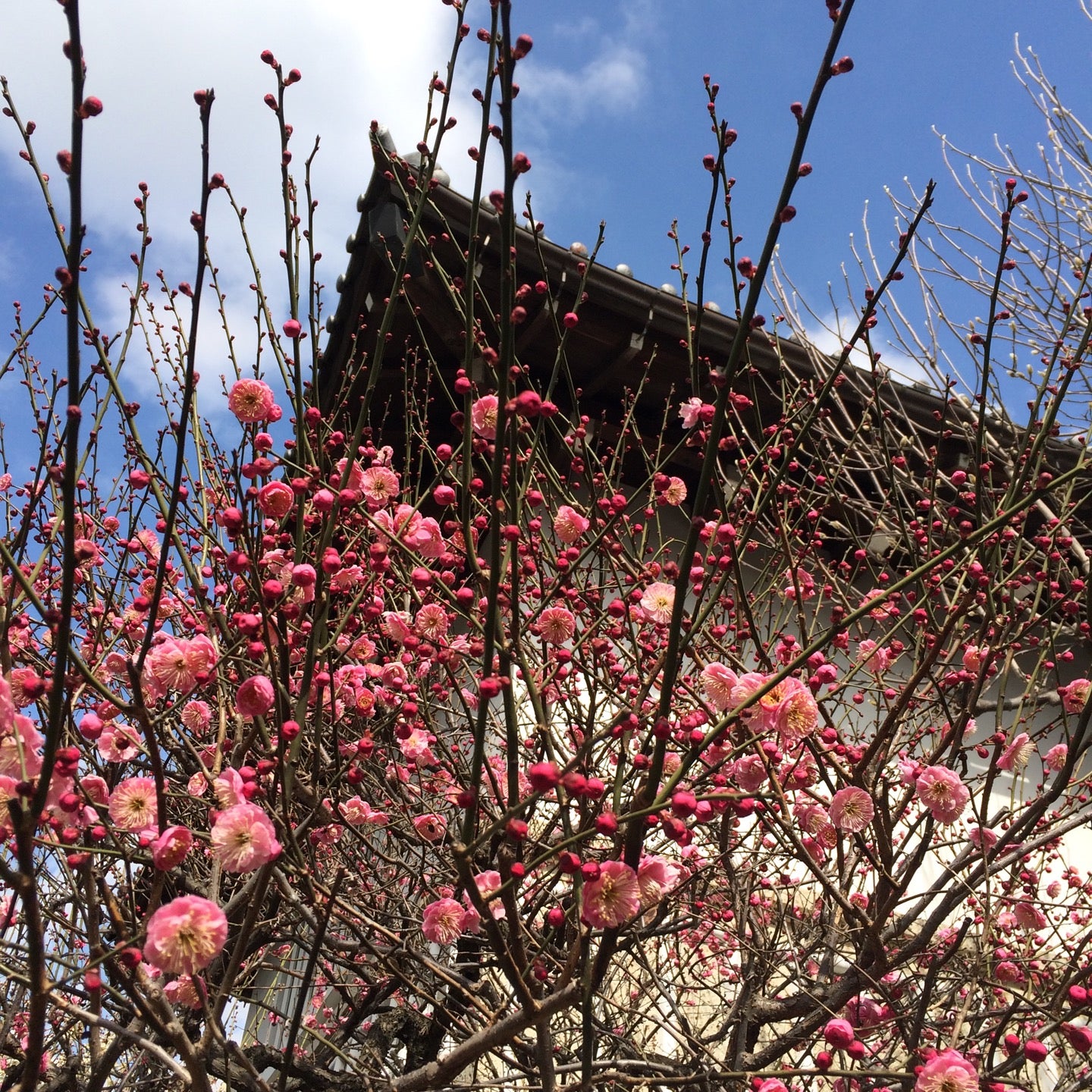 museum