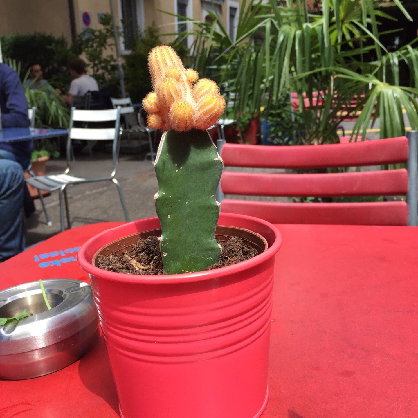 mexican-restaurant