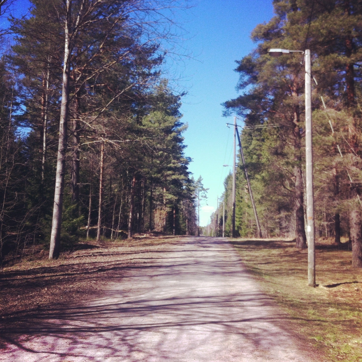 park