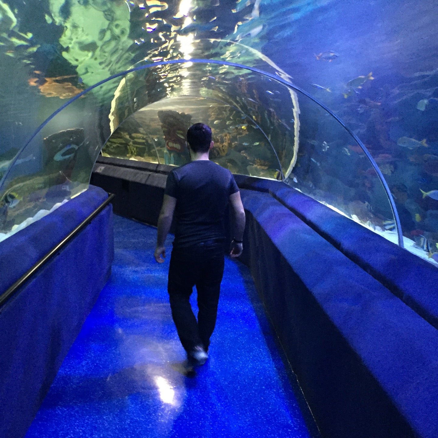 aquarium