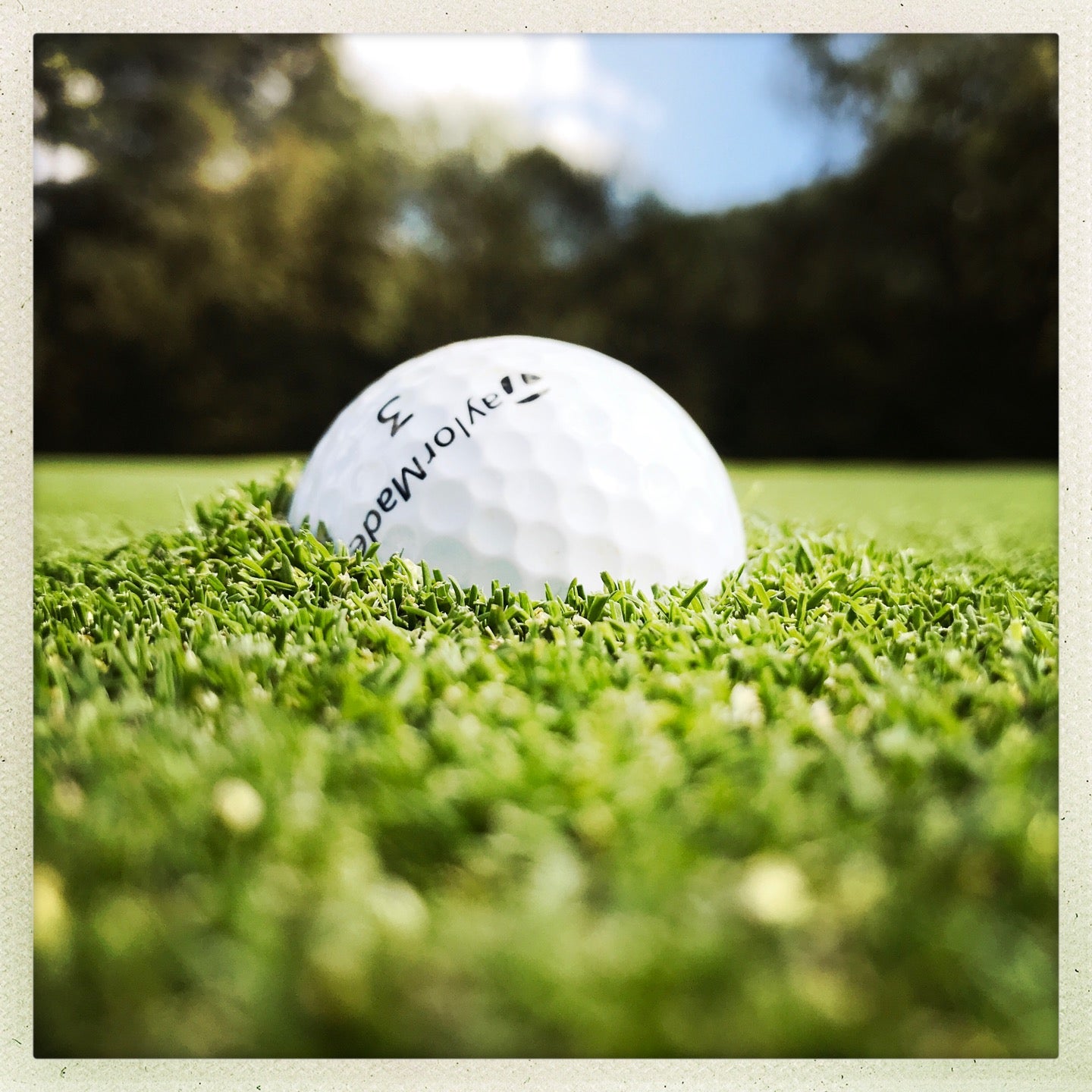 golf-course