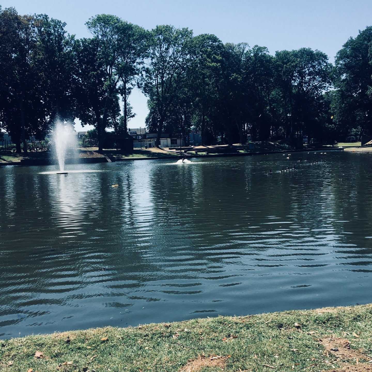 park
