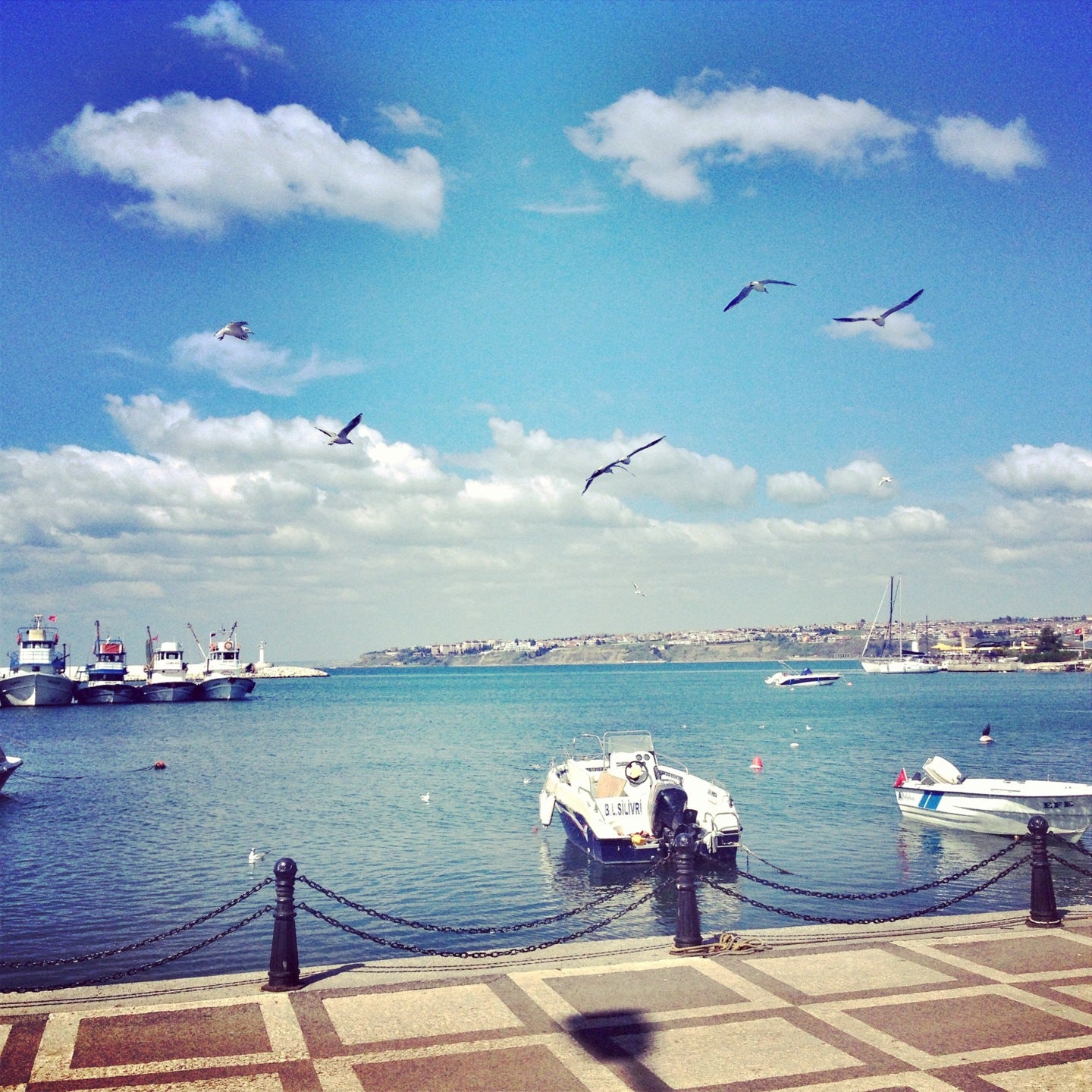 waterfront