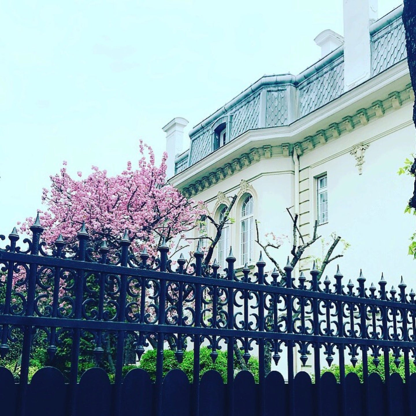 embassy-consulate