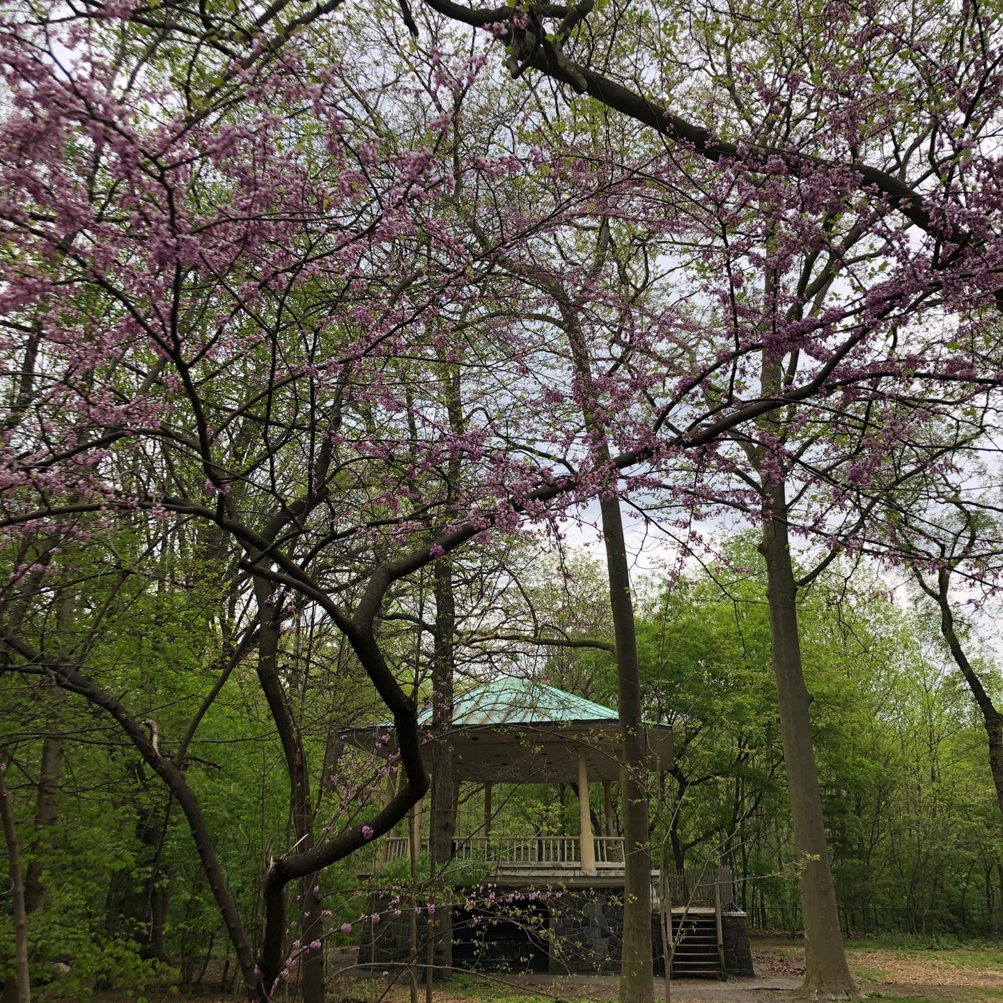amphitheater